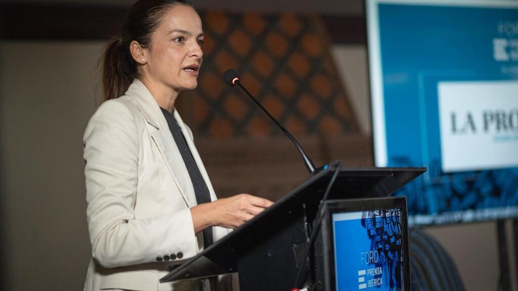 arona permis construction record logements tenerife