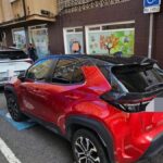 fausse carte pmr stationnement las palmas gran canaria