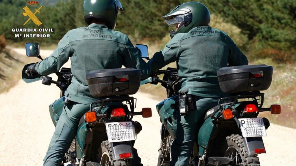 maltraitance animaux vecindario gran canaria arrestation