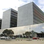 proces viol carnavals las palmas 2023