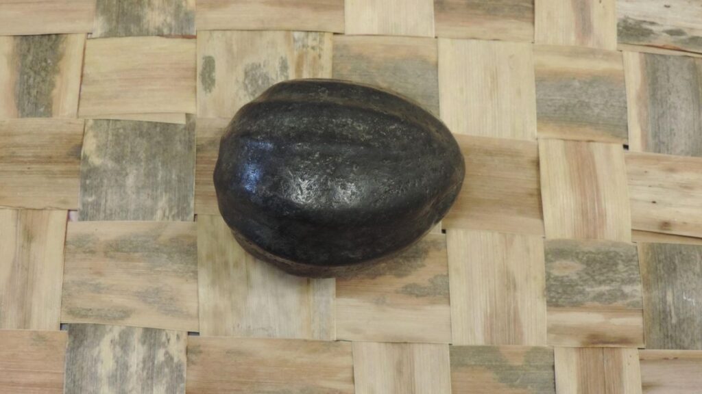 spheroides benahoaritas tresor archeologique la palma