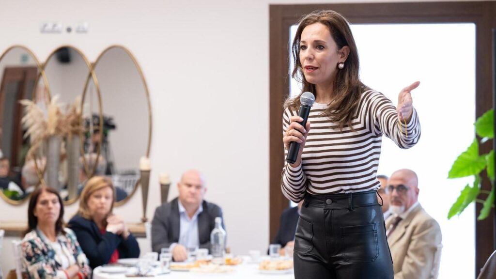 tensions loi location touristique canaries attaques conseillere