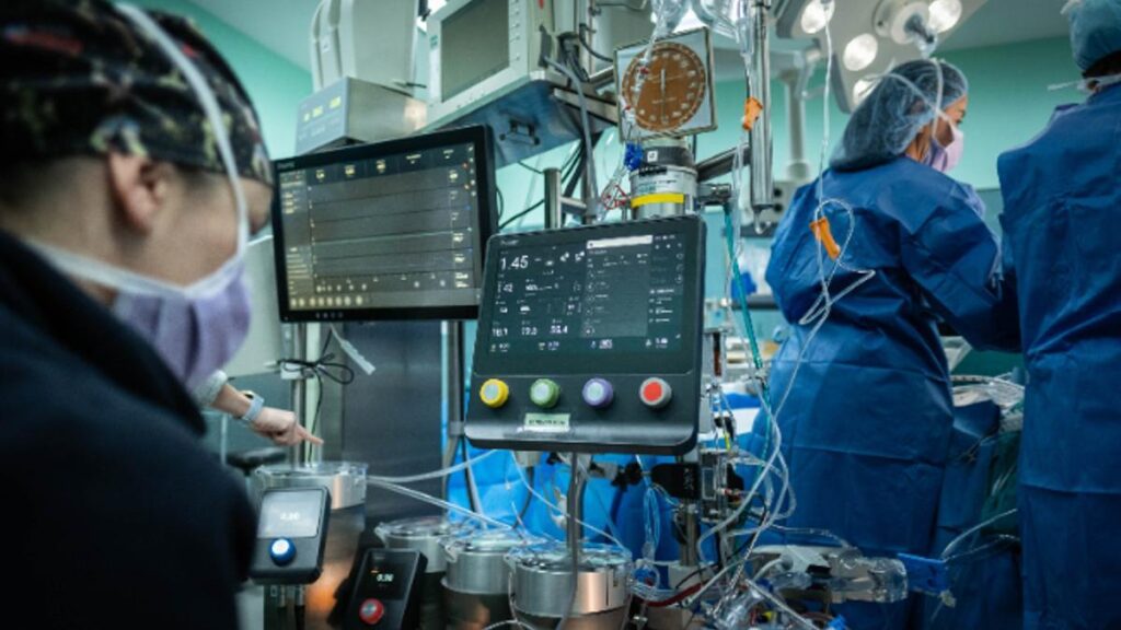 canaries creation emplois record 2025 tourisme ralentit