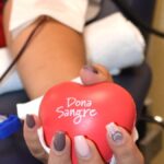 canaries penurie sang debat dons remuneres