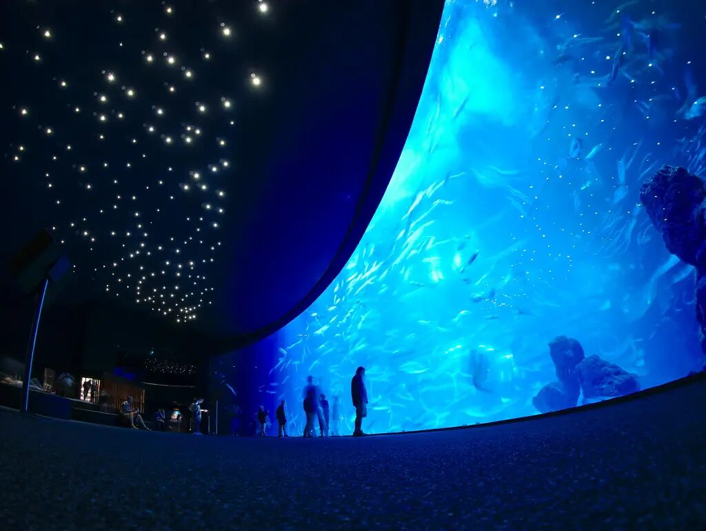 que voir à Grande Canarie