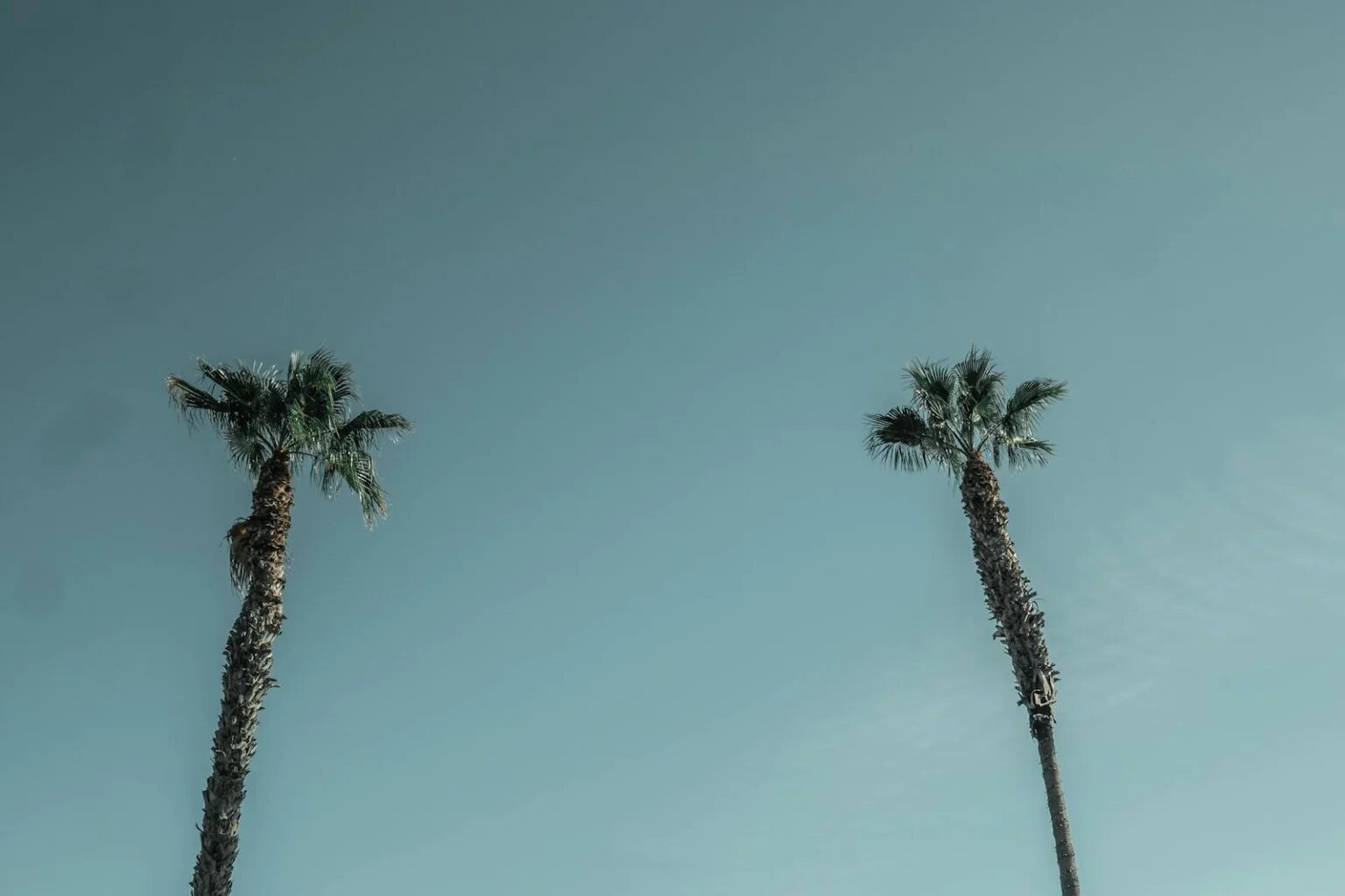 Quelle île des Canaries choisir