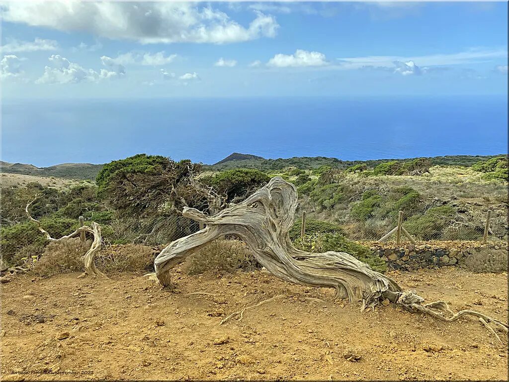 Quelle île des Canaries choisir