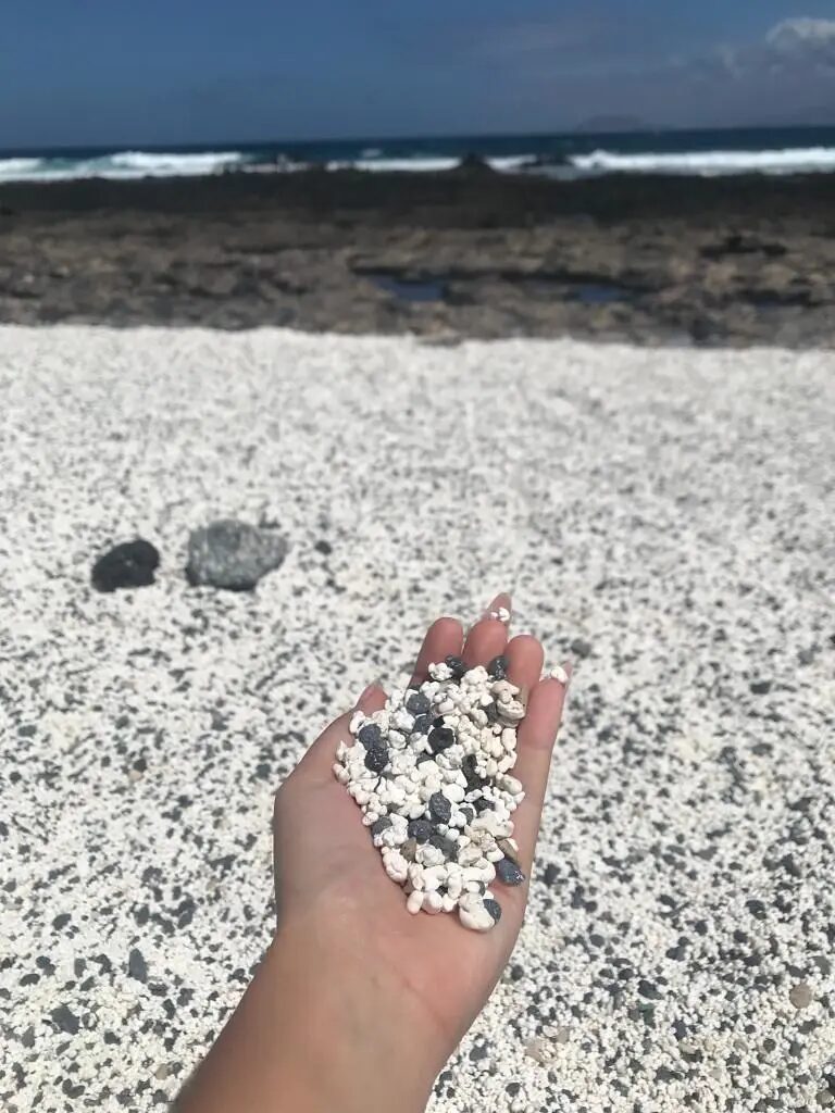 que faire à fuerteventura