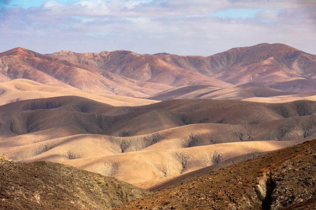 que faire à fuerteventura