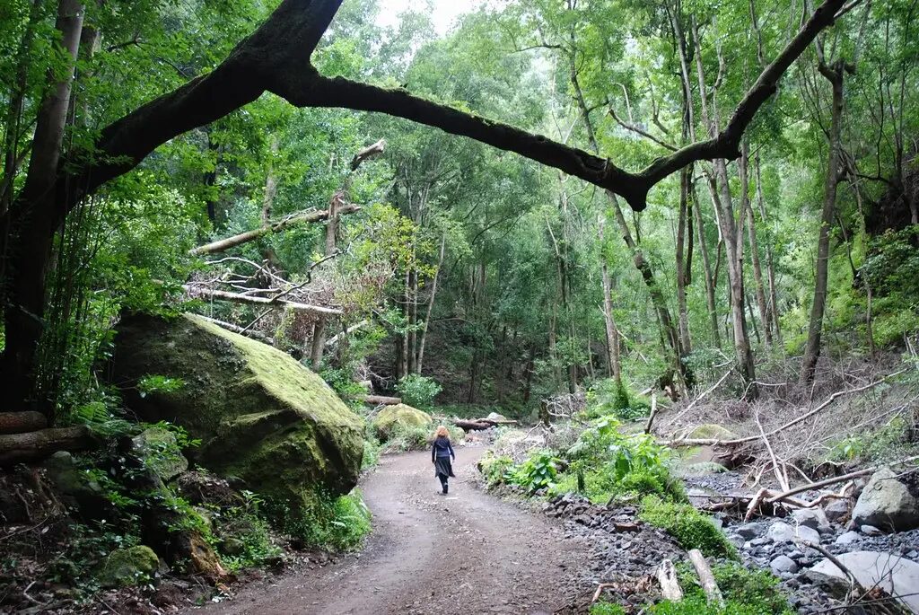 la palma attractions