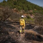 incendies canaries plus devastateurs prevention revoir