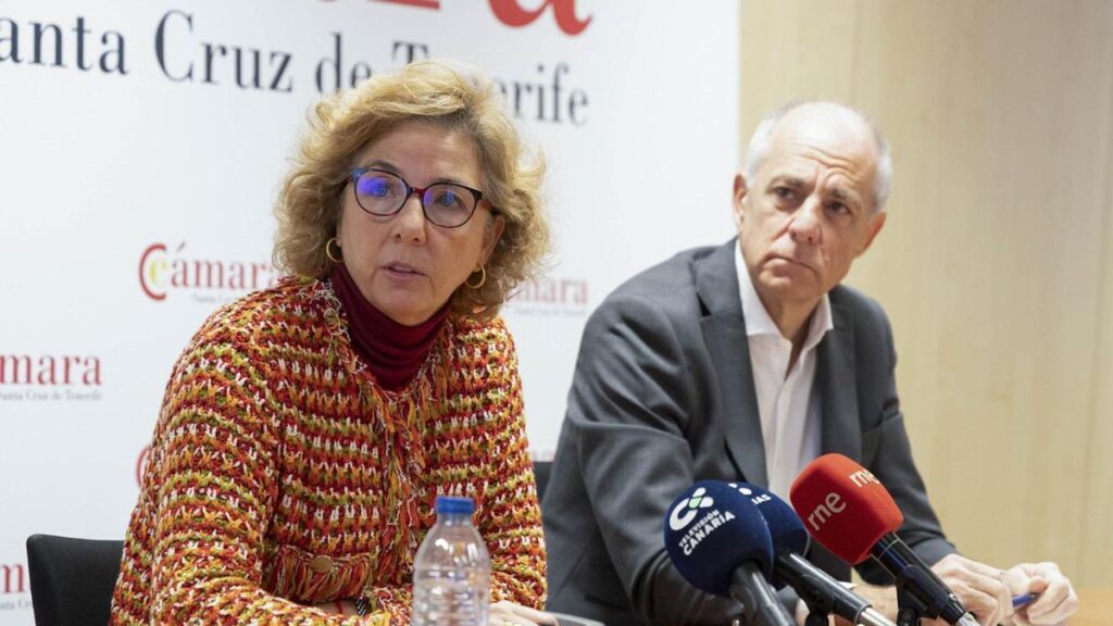 tenerife penurie main doeuvre freine croissance entreprises 2026