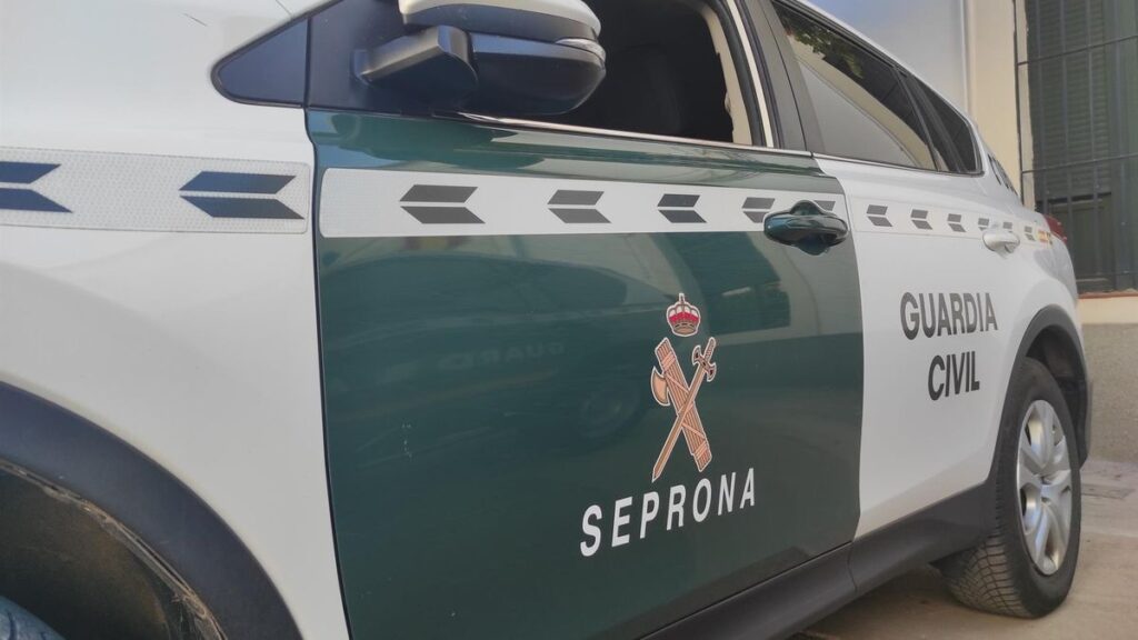 arrestation maltraitance cheval championnat gran canaria