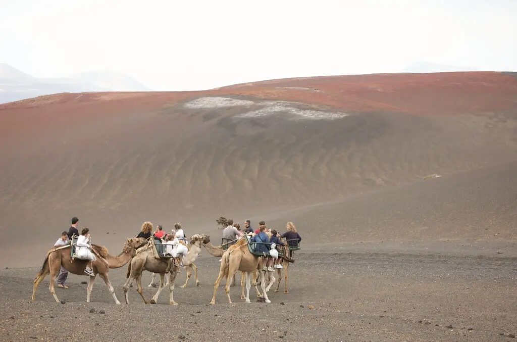 que faire à Lanzarote