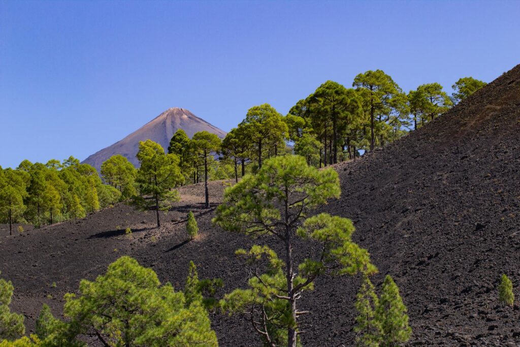 Quelle île des Canaries est la plus chaude