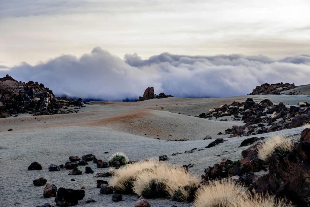 Quelle île des Canaries est la plus chaude