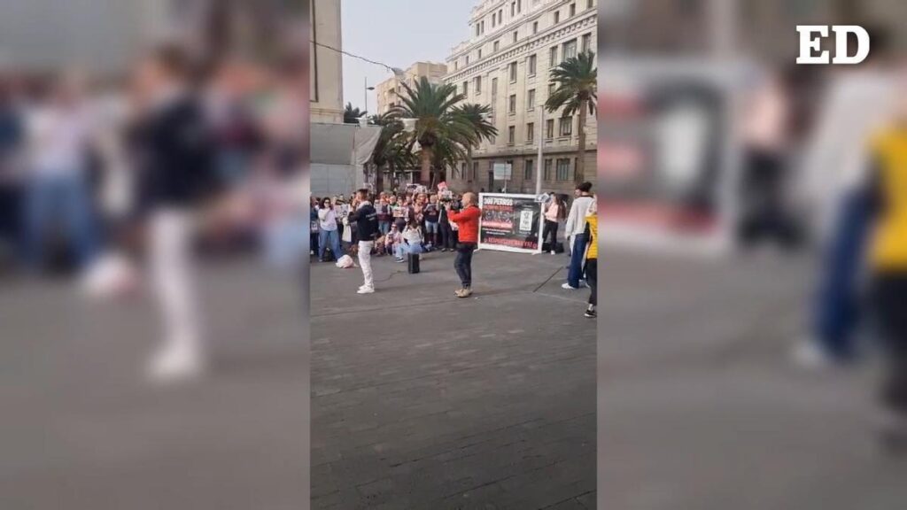 manifestation protection animale refuge ravelo tenerife