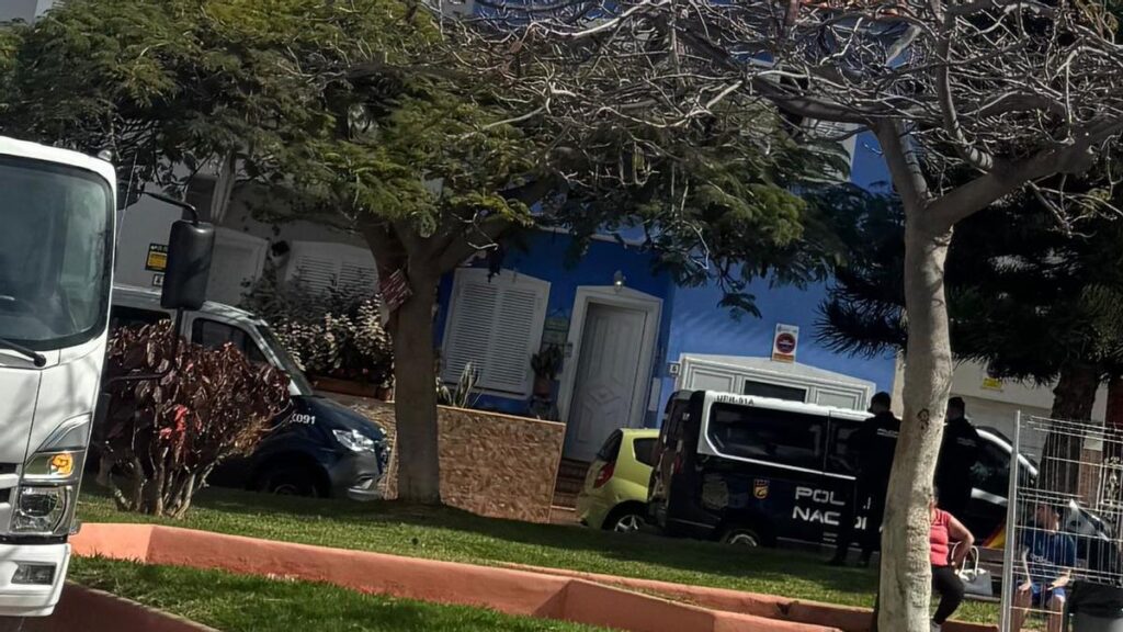 tenerife reseau drogue demantele saisie cocaine