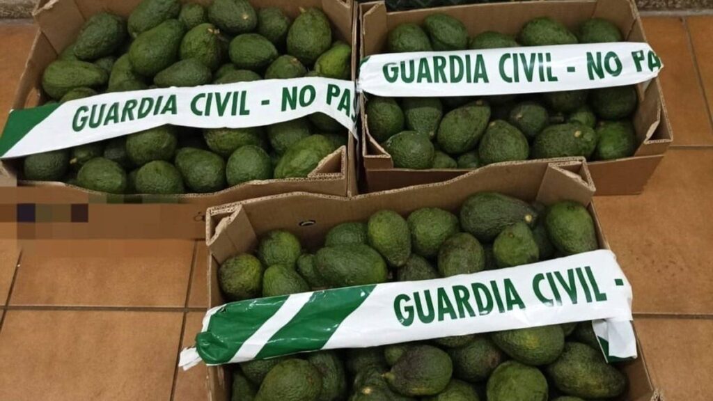 tenerife vol avocats exploitations agricoles enquete