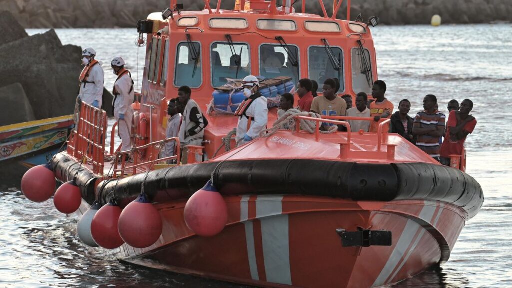 baisse arrivees migrants irreguliers canaries 2026