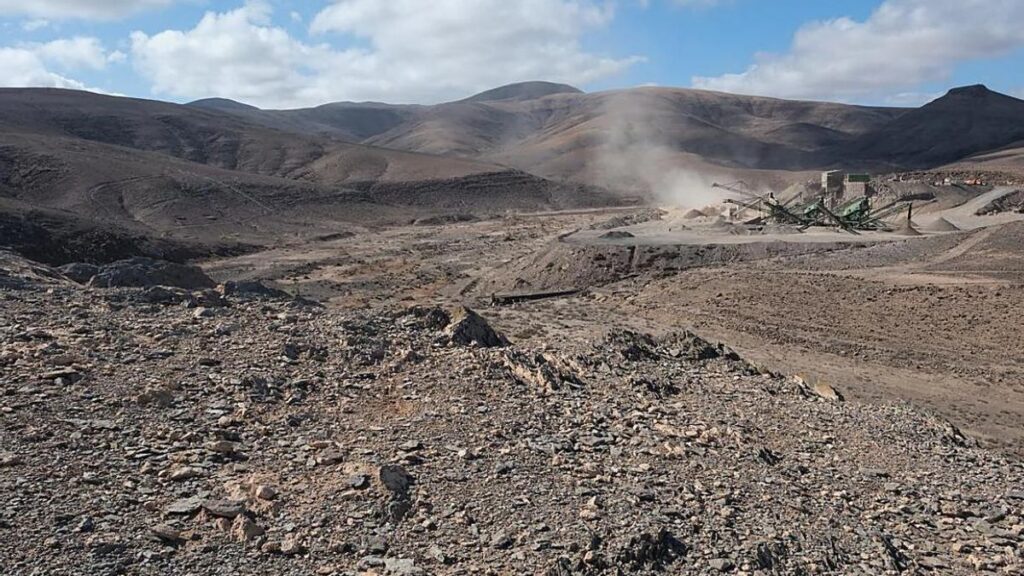 fuerteventura vide juridique carriere zepa oiseaux