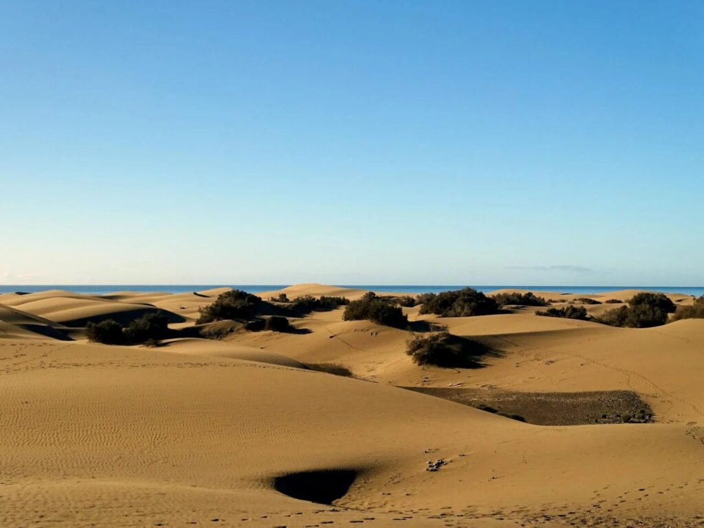 maspalomas grande canarie