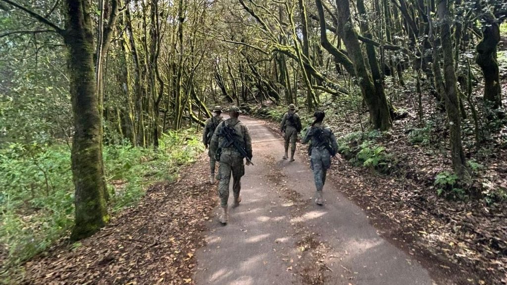 armee patrouilles la gomera el hierro securite