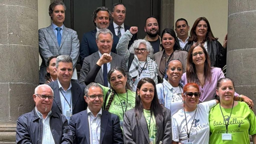 loi lits relevables chariots motorises canaries kellys