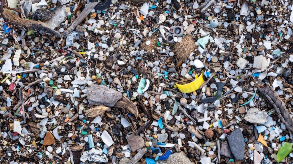 microplastiques canaries provenance espagne