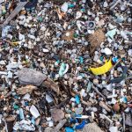 microplastiques canaries provenance espagne