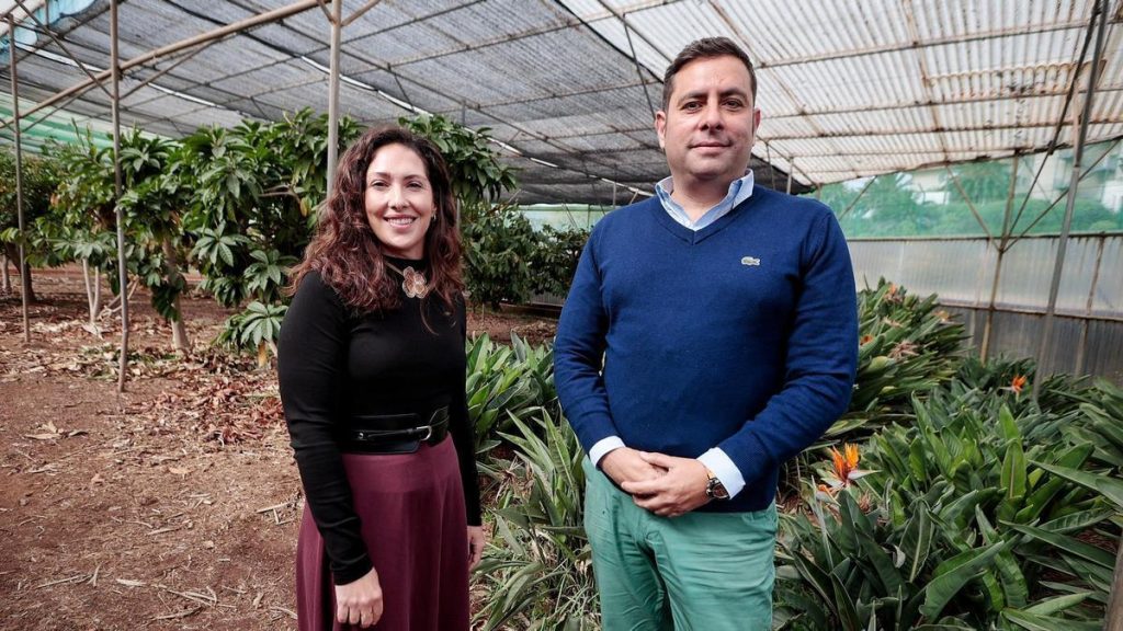 sicma canarias outil anticipation secheresse iles