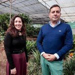 sicma canarias outil anticipation secheresse iles