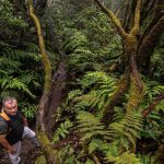tenerife ecotaxe sentier pijaral anaga acces regule
