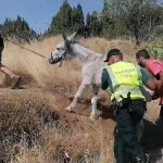 tenerife simulacro incendio forestal guancha 2026