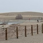 touristes zone protegee maspalomas incivilite gran canaria