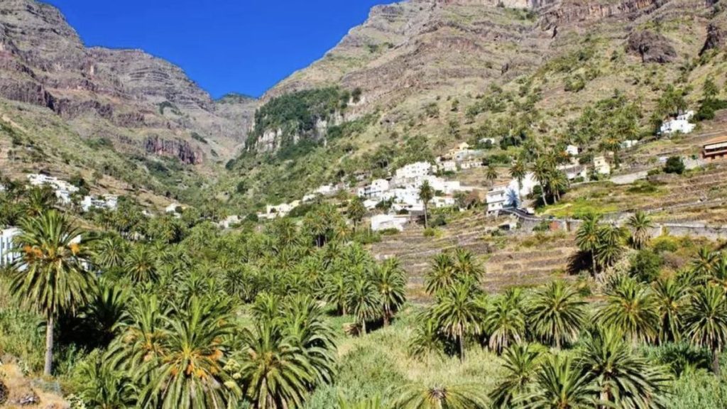 amendes proprietaires apartements canaries decret echec
