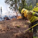 canaries campagne incendies forestiers 2026