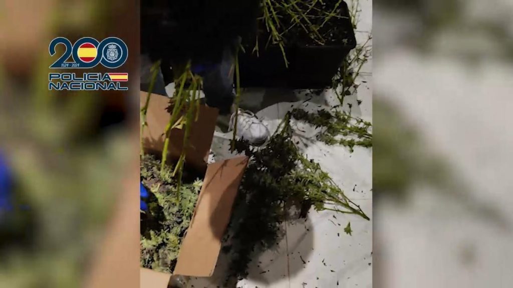 coup de filet extorsion traite fuerteventura valence