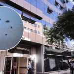 invasion insectes tenerife evacuation education