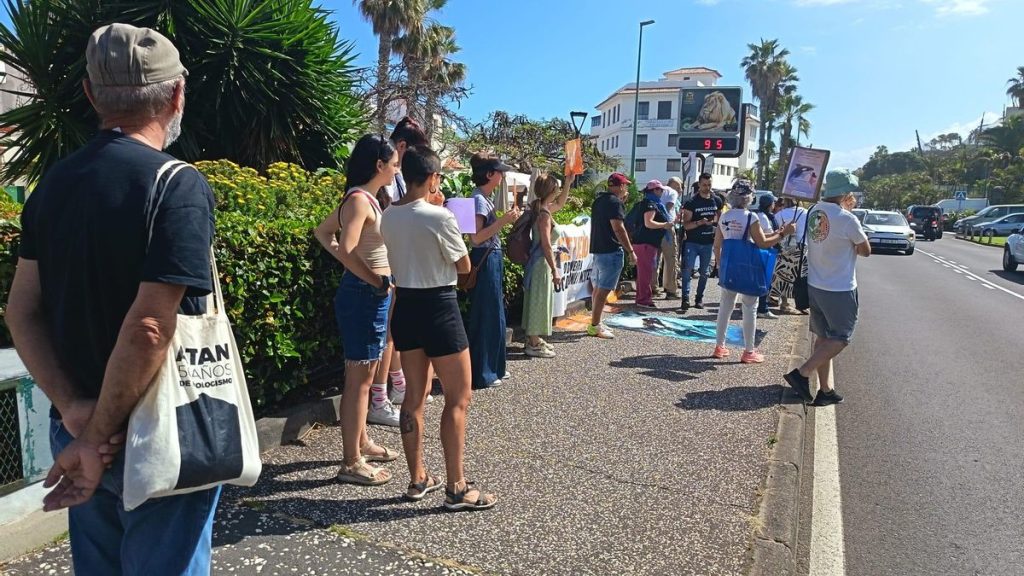 manifestation loro parque cetaces tenerife 2026