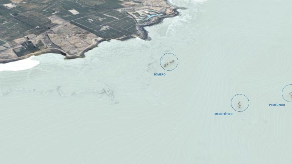scientifiques denoncent greenwashing underwater gardens tenerife