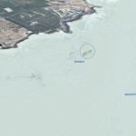 scientifiques denoncent greenwashing underwater gardens tenerife