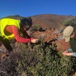 teide lac air glacial plantes extremes