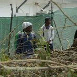 visite pape leon xiv centre migrants las raices tenerife