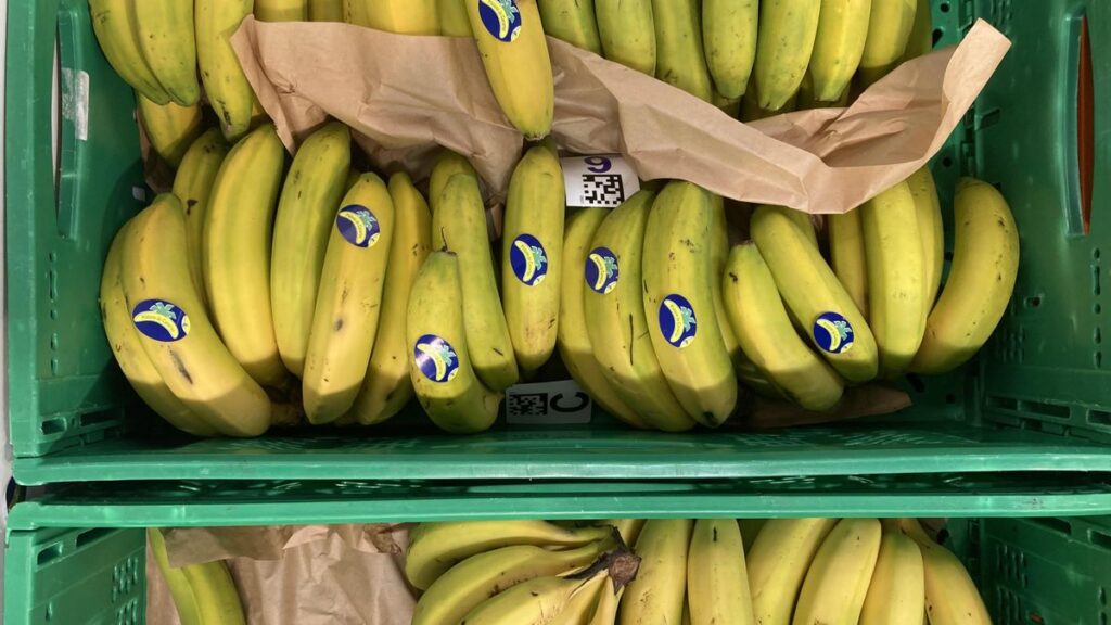 banane canaries perte marche espagne 2026