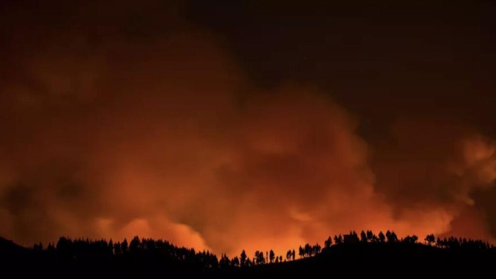 canarias mega incendies etude gestion territoire