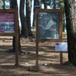 canaries polemique cartes espaces naturels proteges