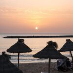 just lio afterwork chic tenerife