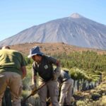 parc teide investissement conservation flore