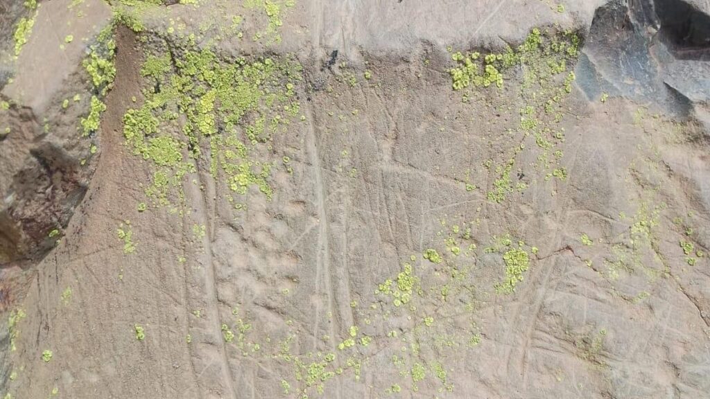 patrimoine guanche vandalisme teno tenerife